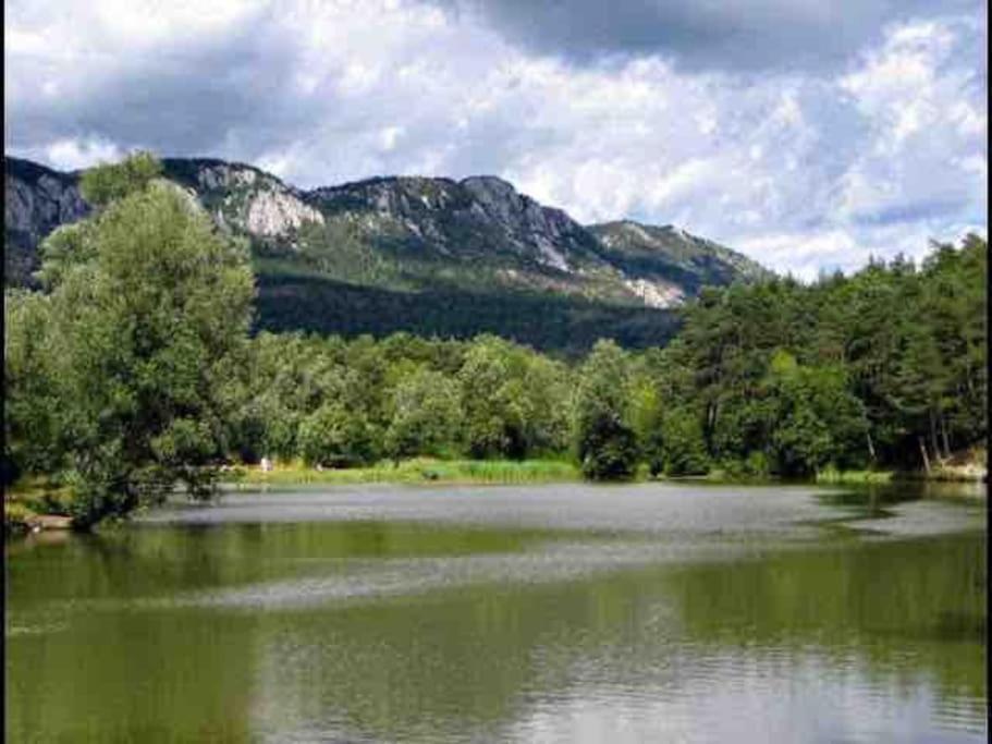 Greolieres: Superbe Studio Avec Vue Montagne 외부 사진